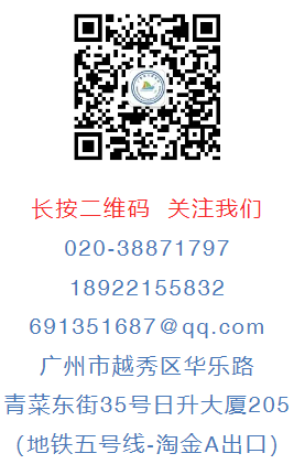 图片8